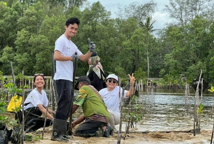 Terengganu Mangrove Forest Gets A Helping Hand