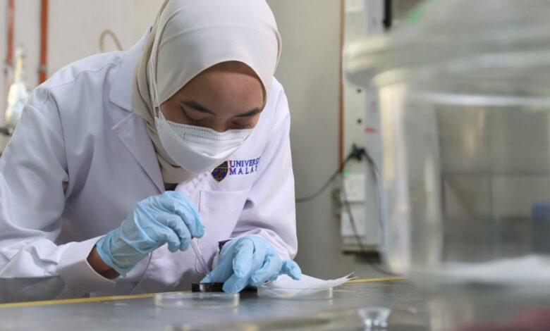 Toward Industrial Research University Status: Malaysia’s Path to Academic Excellence