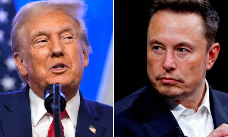 Trump mulls ending EV tax credit, open to Musk as adviser