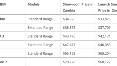 BYD Partners With Pilatus Motors To Launch Several Models In Zambia!