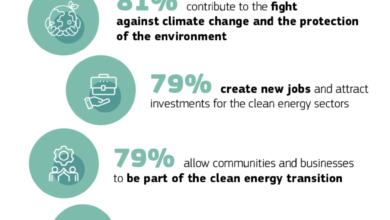 New EU Survey: Europeans Are Taking Action to Save Energy & Embrace Clean Energy