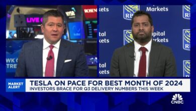 Tesla is a place where investors can find safety, says RBC's Tom Narayan