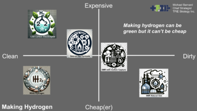 Slide from ISGF India utility professional seminar on hydrogen for energy by Michael Barnard, Chief Strategist, TFIE Strategy