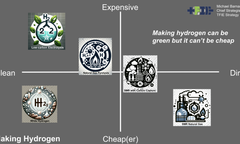 Slide from ISGF India utility professional seminar on hydrogen for energy by Michael Barnard, Chief Strategist, TFIE Strategy