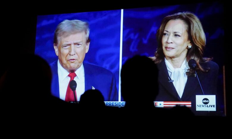 Trump or Harris? 2024 stakes for America's businesses