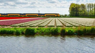 Dutch Railways