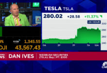 Elon Musk's big bet on Trump is a home run for Tesla, says Wedbush's Dan Ives